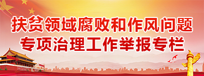 扶贫领域腐败和作风问题专项治理工作举报专栏